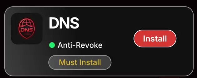 Install DNS